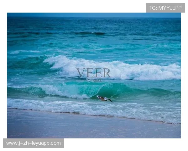 冲浪选手与海鸟并排起浪画面炸裂